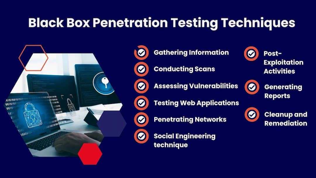 What Is Black Box Penetration Testing ? – A Complete guide For 2024 ...