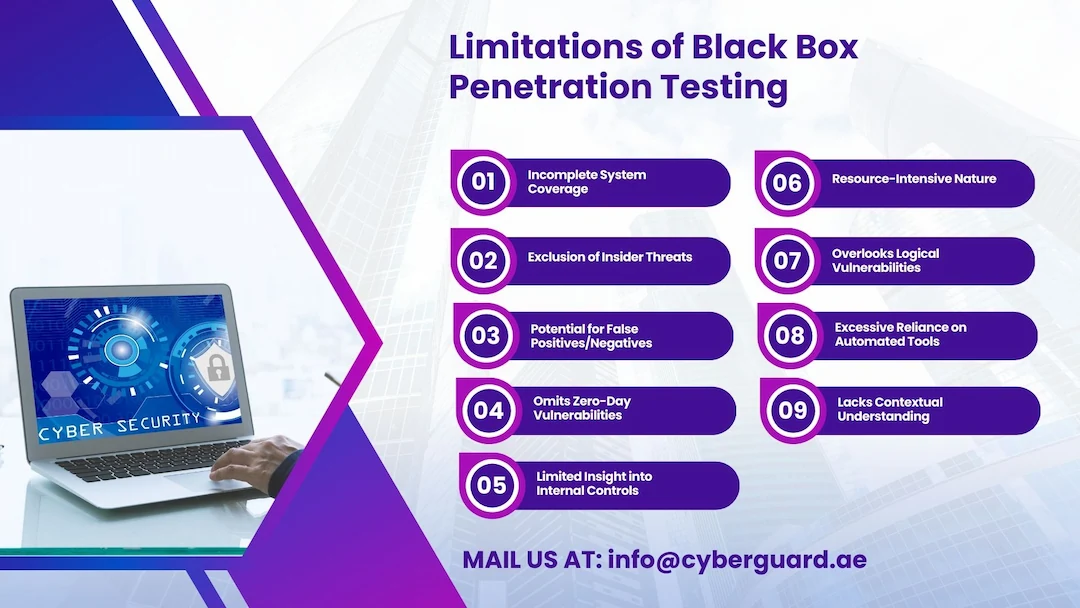 What Is Black Box Penetration Testing ? – A Complete guide For 2024 ...